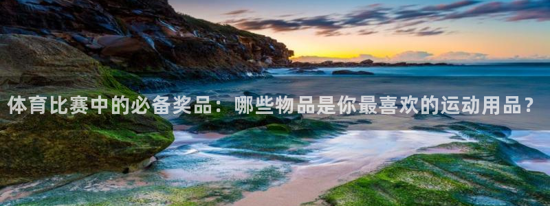 体育比赛中的必备奖品：哪些物品是你最喜欢的运动用品？