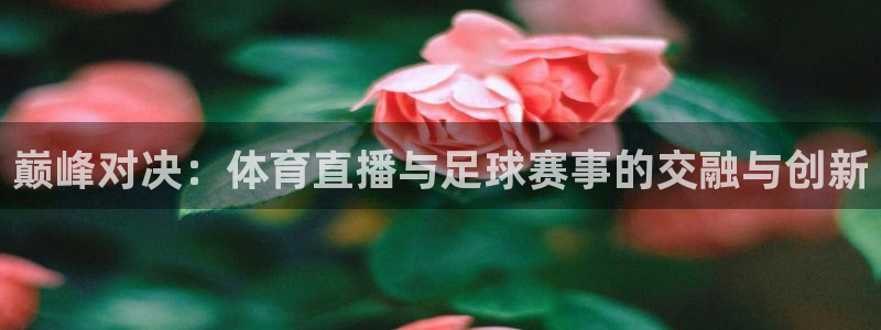 巅峰对决：体育直播与足球赛事的交融与创新