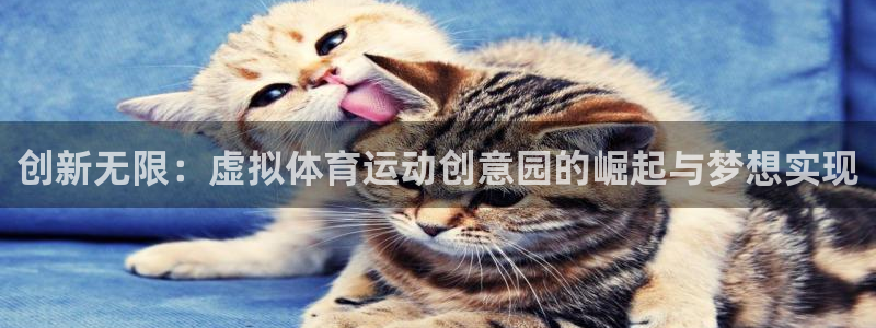 创新无限：虚拟体育运动创意园的崛起与梦想实现