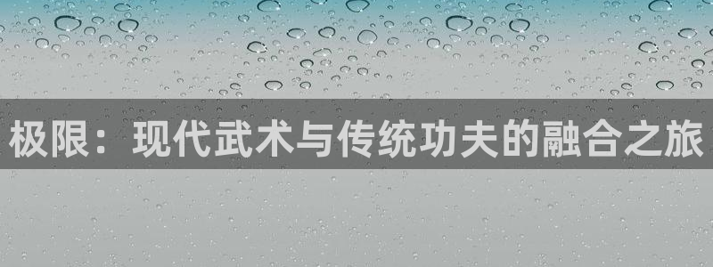极限：现代武术与传统功夫的融合之旅