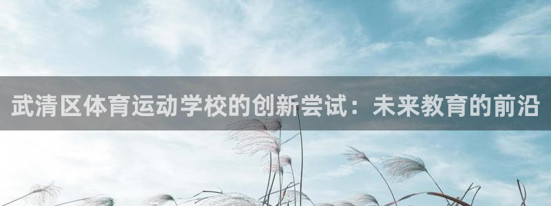 武清区体育运动学校的创新尝试：未来教育的前沿