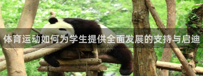 体育运动如何为学生提供全面发展的支持与启迪