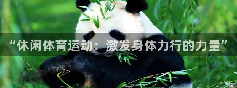 “休闲体育运动：激发身体力行的力量”