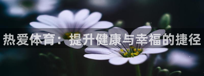 热爱体育：提升健康与幸福的捷径