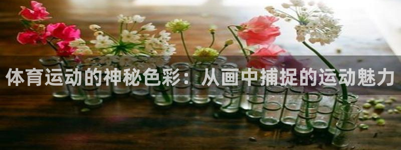 体育运动的神秘色彩：从画中捕捉的运动魅力