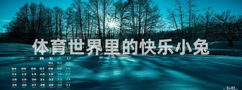 体育世界里的快乐小兔