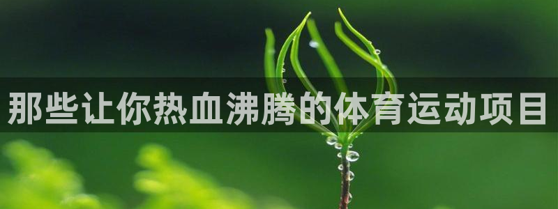 那些让你热血沸腾的体育运动项目