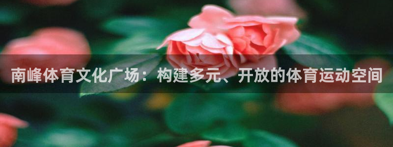 南峰体育文化广场：构建多元、开放的体育运动空间