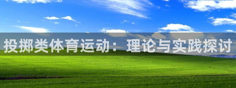 投掷类体育运动：理论与实践探讨