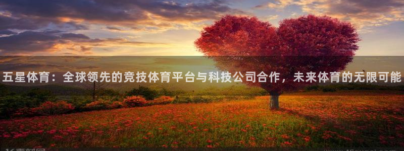 五星体育：全球领先的竞技体育平台与科技公司合作，未来体育的无限可能