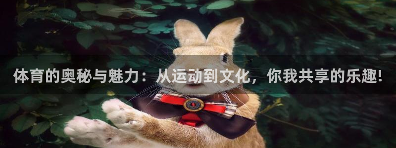 体育的奥秘与魅力：从运动到文化，你我共享的乐趣!
