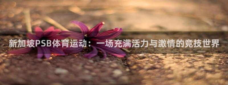 新加坡PSB体育运动：一场充满活力与激情的竞技世界