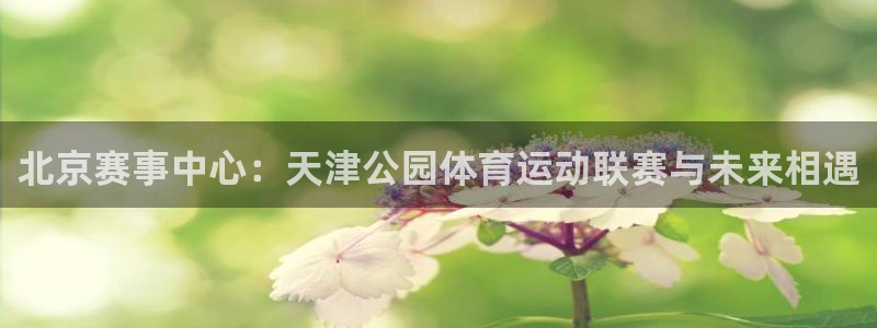 北京赛事中心：天津公园体育运动联赛与未来相遇