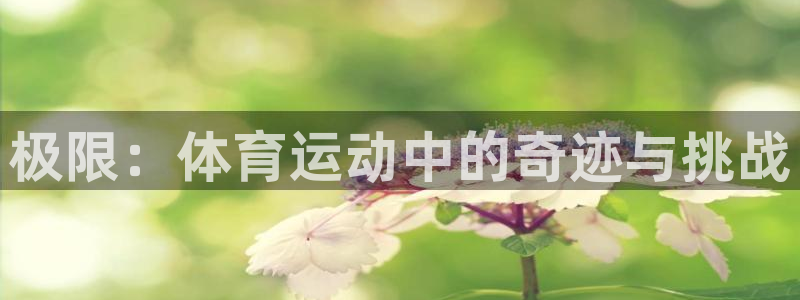 极限：体育运动中的奇迹与挑战