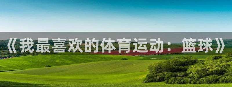 《我最喜欢的体育运动：篮球》