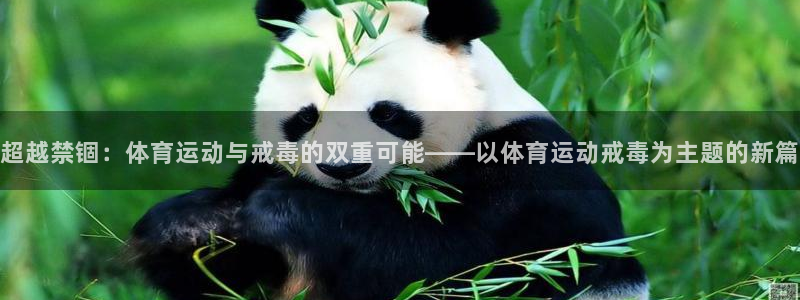 超越禁锢：体育运动与戒毒的双重可能——以体育运动戒毒为主题的新篇