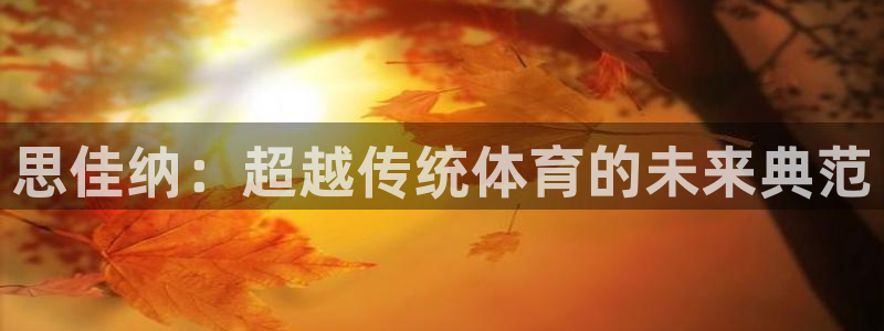 思佳纳：超越传统体育的未来典范