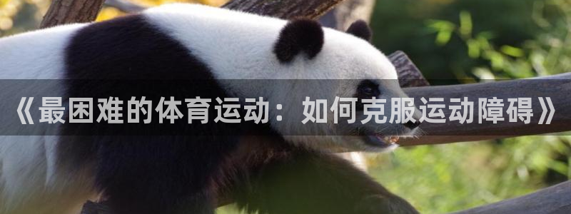 《最困难的体育运动：如何克服运动障碍》