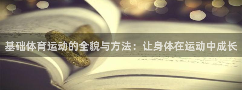 基础体育运动的全貌与方法：让身体在运动中成长