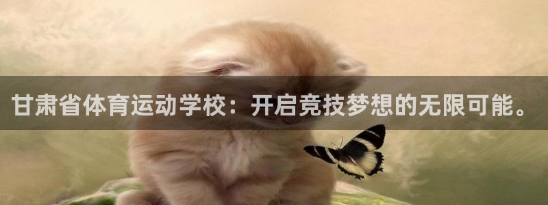 甘肃省体育运动学校：开启竞技梦想的无限可能。