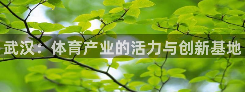 武汉：体育产业的活力与创新基地