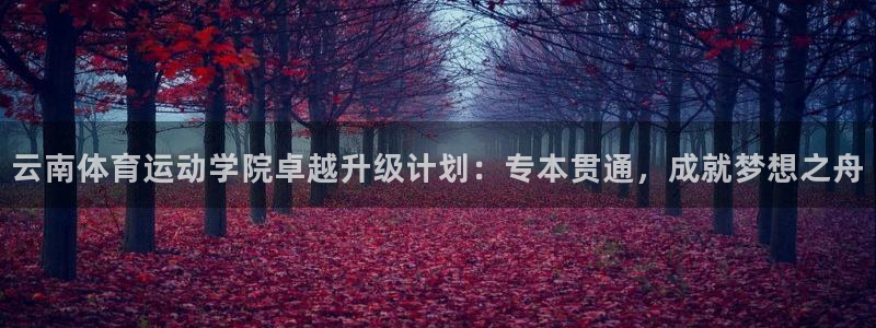 云南体育运动学院卓越升级计划：专本贯通，成就梦想之舟