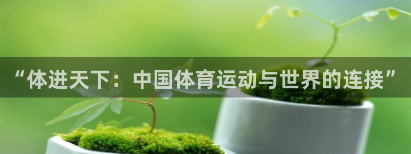 “体进天下：中国体育运动与世界的连接”