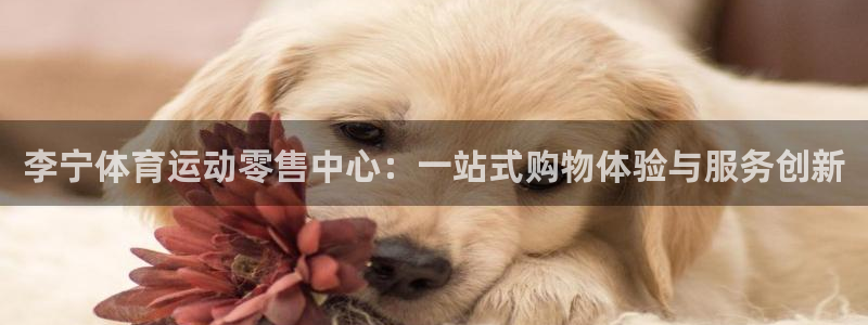 李宁体育运动零售中心：一站式购物体验与服务创新