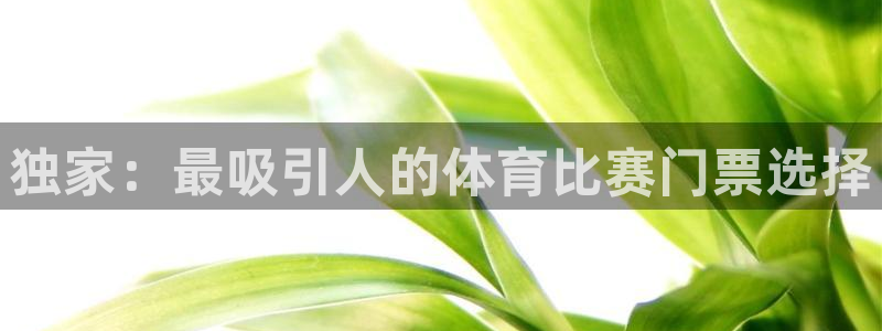 独家：最吸引人的体育比赛门票选择
