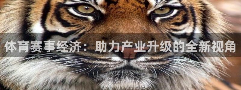 体育赛事经济：助力产业升级的全新视角