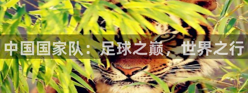 中国国家队：足球之巅，世界之行