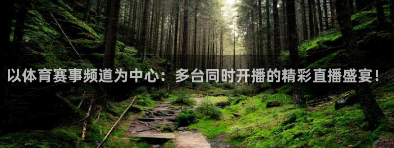 以体育赛事频道为中心：多台同时开播的精彩直播盛宴！