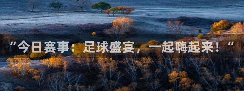 “今日赛事：足球盛宴，一起嗨起来！”