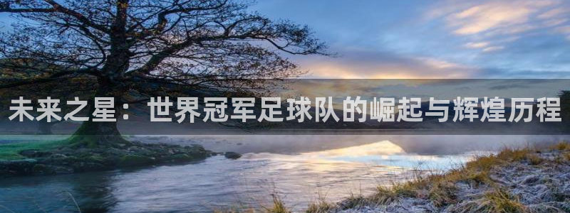 未来之星：世界冠军足球队的崛起与辉煌历程