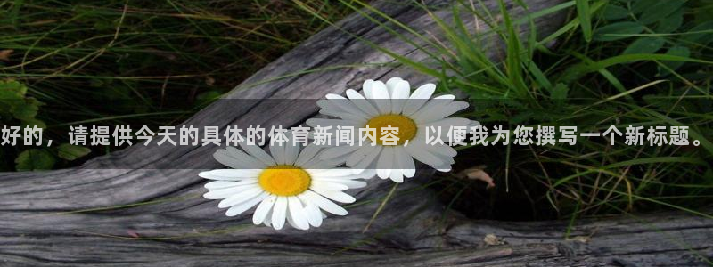 好的，请提供今天的具体的体育新闻内容，以便我为您撰写一个新标题。