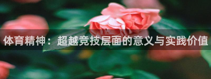 体育精神：超越竞技层面的意义与实践价值