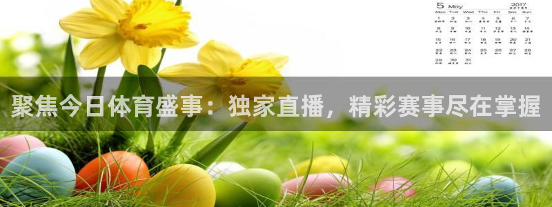 聚焦今日体育盛事：独家直播，精彩赛事尽在掌握