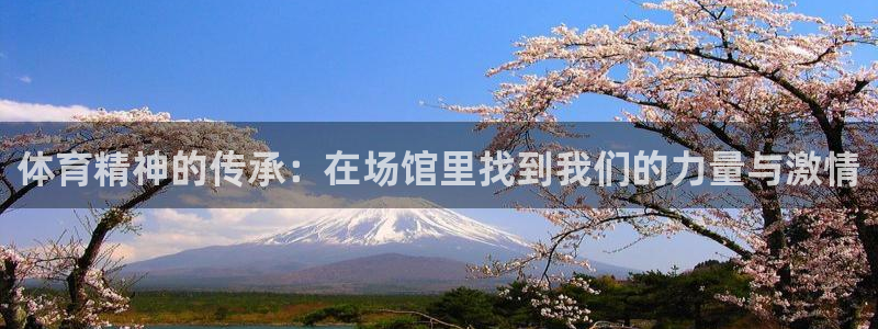 体育精神的传承：在场馆里找到我们的力量与激情