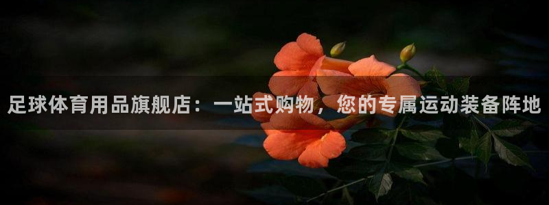 足球体育用品旗舰店：一站式购物，您的专属运动装备阵地