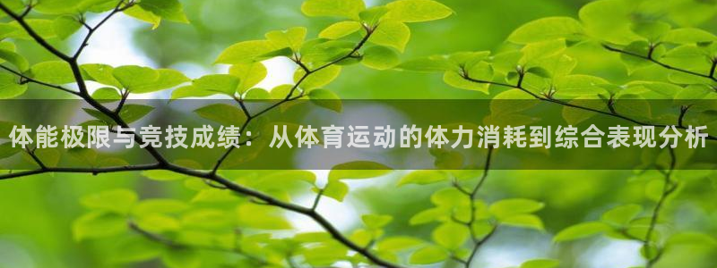 体能极限与竞技成绩：从体育运动的体力消耗到综合表现分析